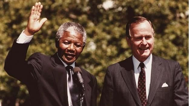 Mandela bush