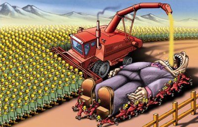 Soberania alimentaria_versus_alimentacion_industrial_capitalista