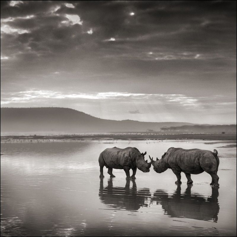 Nick Brandt 2