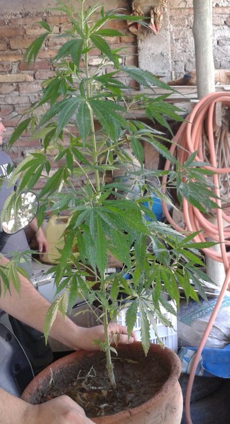 Allanamiento barrio santa lucía 12 12-13 (1)