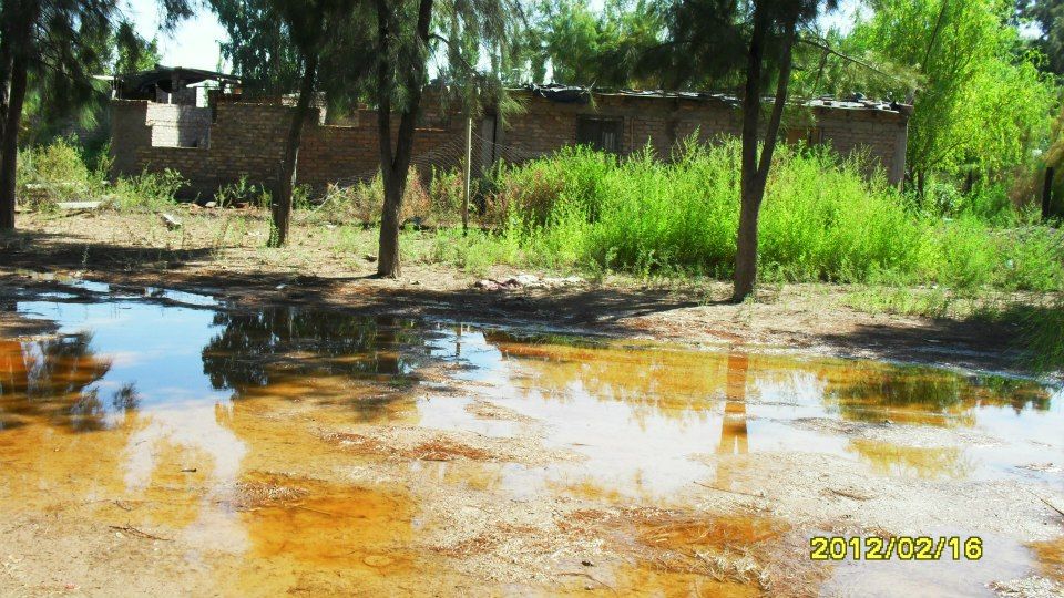 Escuela Francisco Arias 4