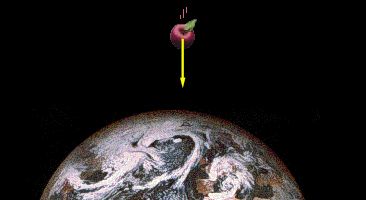 Manzana fuerza-gravedad-tierra-newton