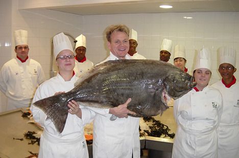 Gordon Ramsay thumb-468x310-31151