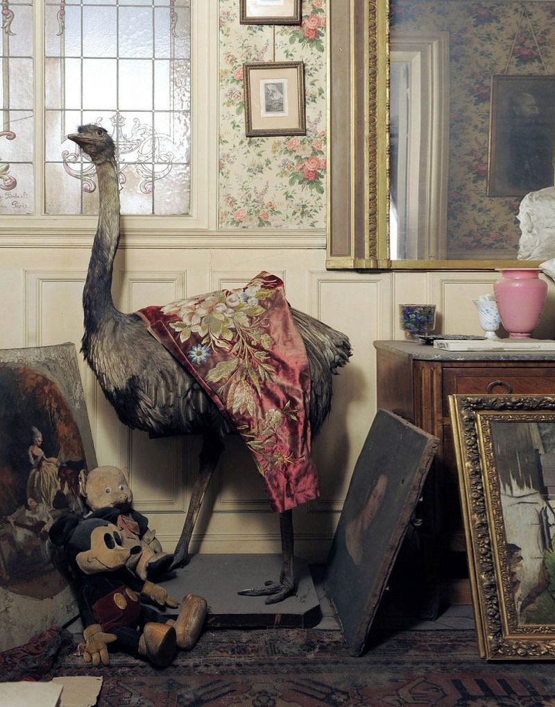 Madame de Florian 02