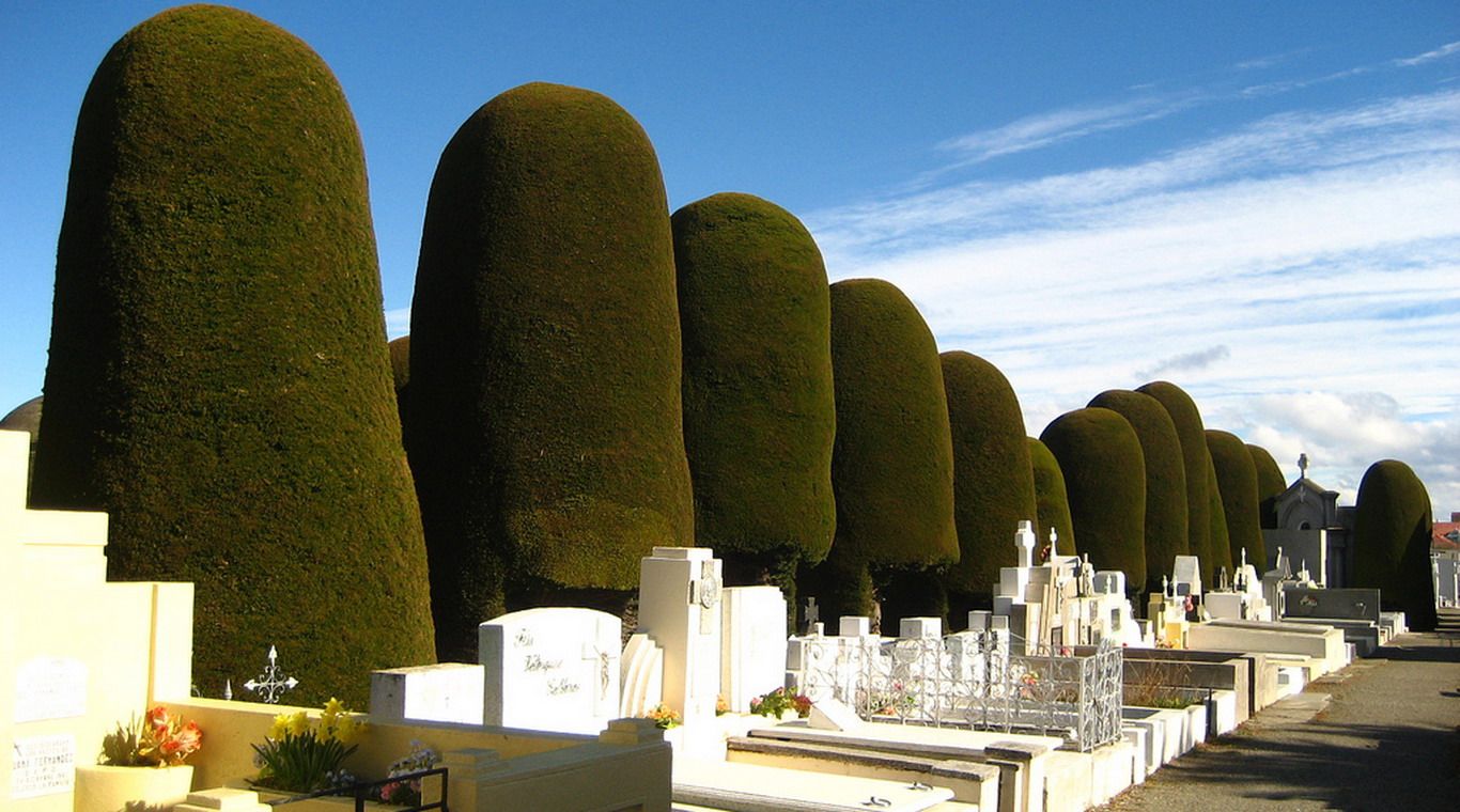 Cementerio punta arenas nuevo