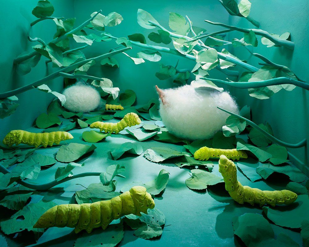 Jee Young Lee 03
