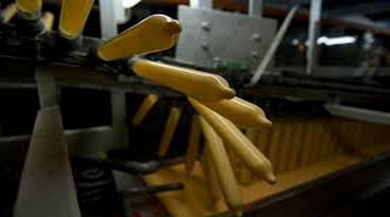 FABRICA CONDOM 3