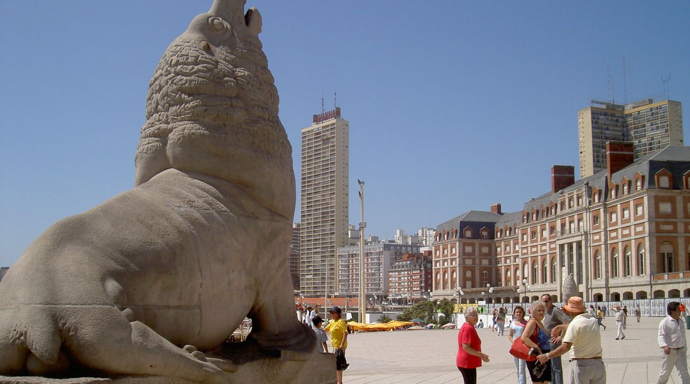 Lobo marino Mar del Plata