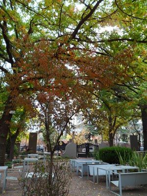 Jardin 2_dantesco