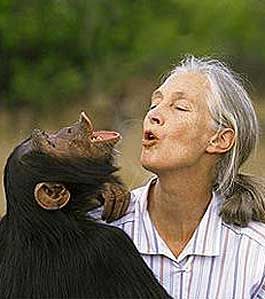 Jane goodall