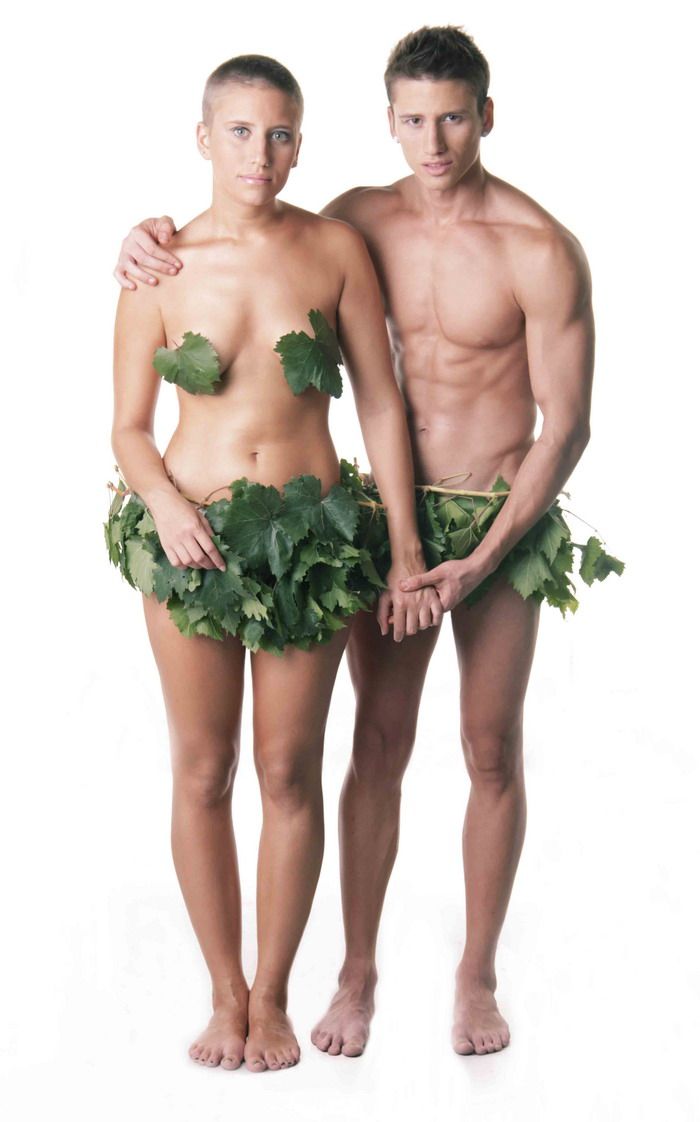 Queen y vino balsamo divino produccion 4