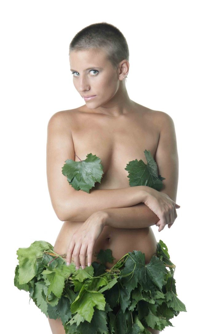 Queen y vino balsamo divino produccion 3