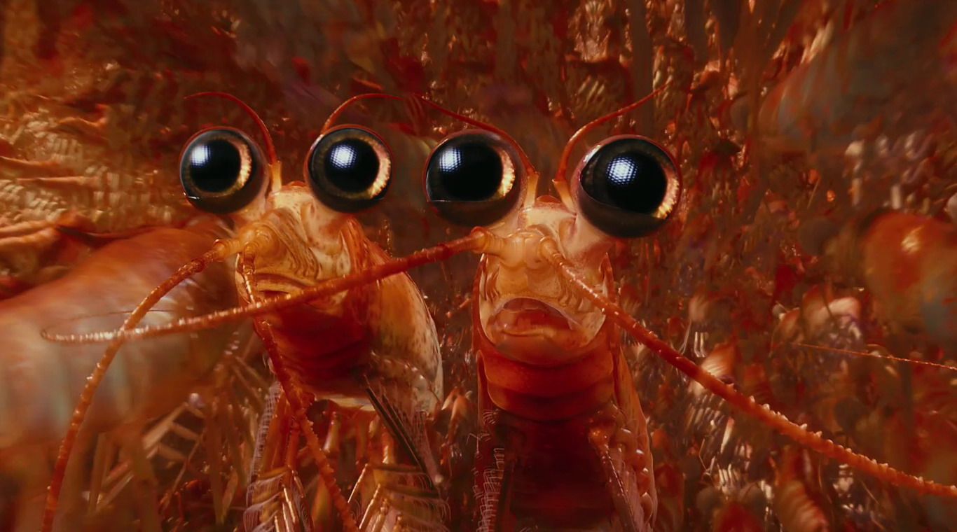 Krill