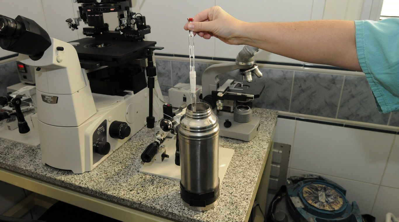 Fertilización asistida en Clínica de Cuyo 5