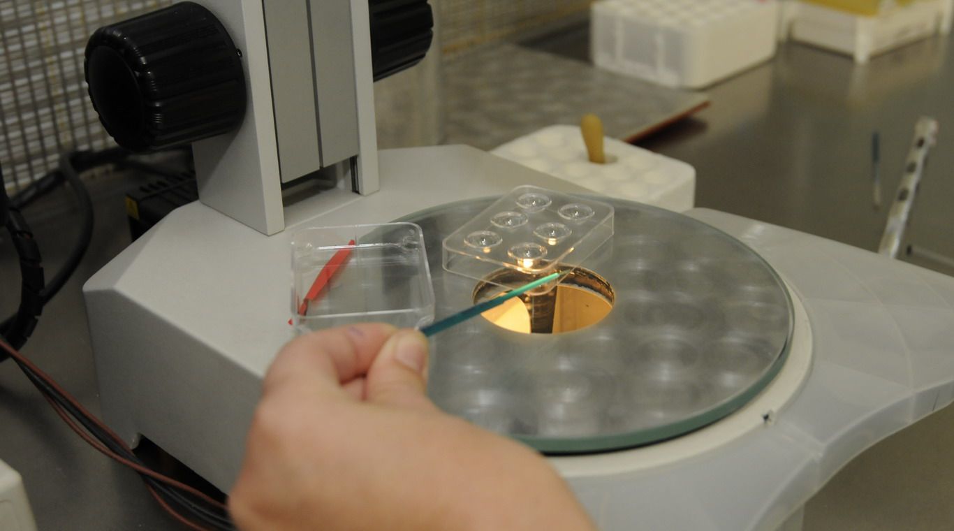 Fertilización asistida en Clínica de Cuyo 12