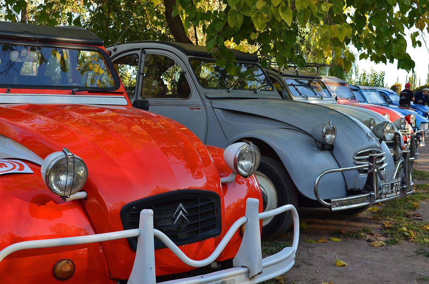 Citroen 3cv-1