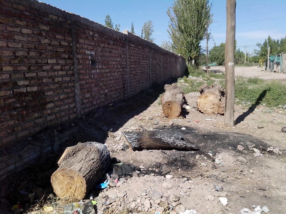Lujan barrio las azucenas problemas villa de emergencia 4