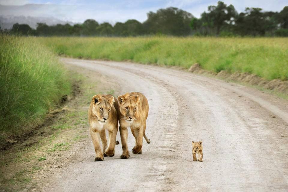 Imagen Día de la Tierra 10