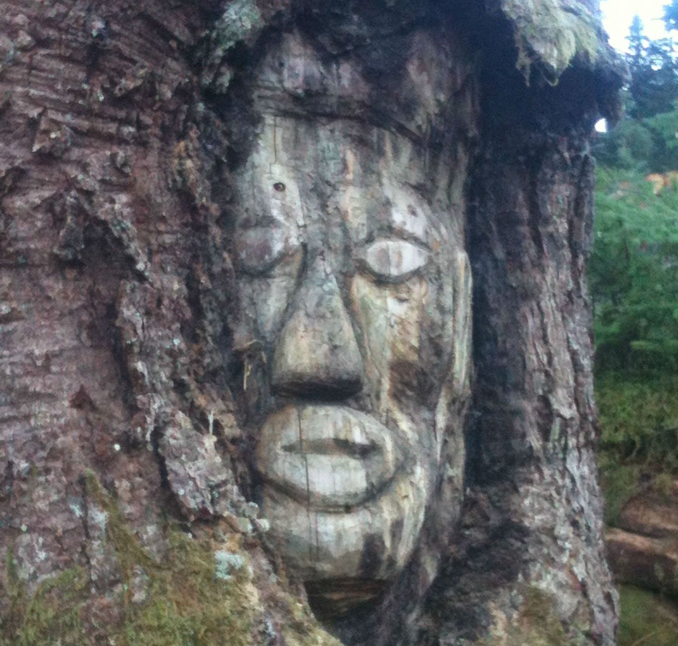 Rostro tallado en árbol Canadá