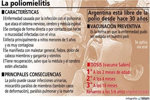 Imagen infografia telam polio poliomelitis