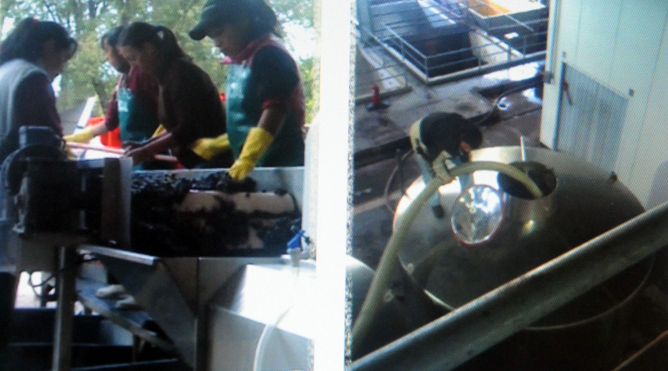 María jimena López 7