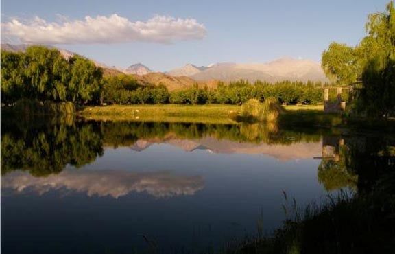 Latruchatranqui
