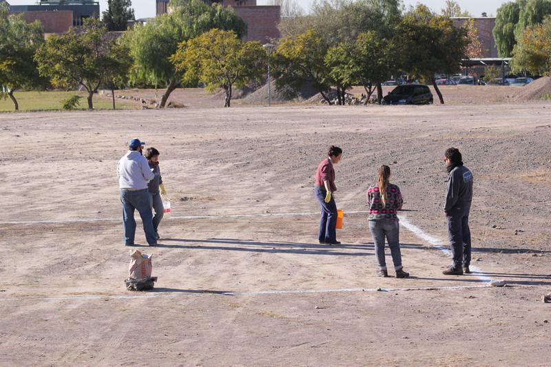 Intervención Araña Galponera 04