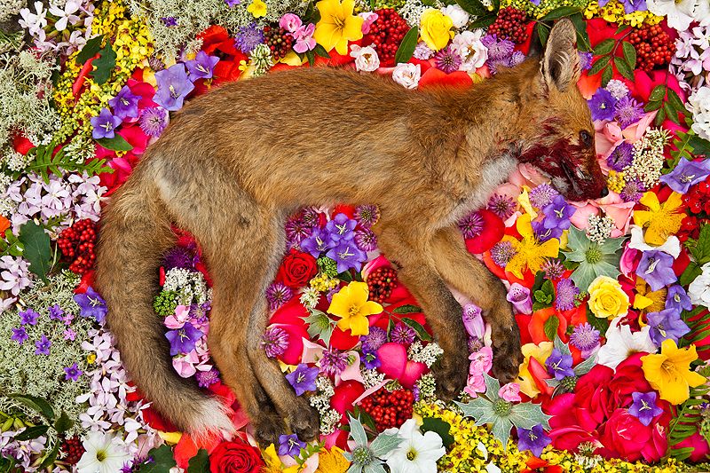 Maria Ionova Gribina 04