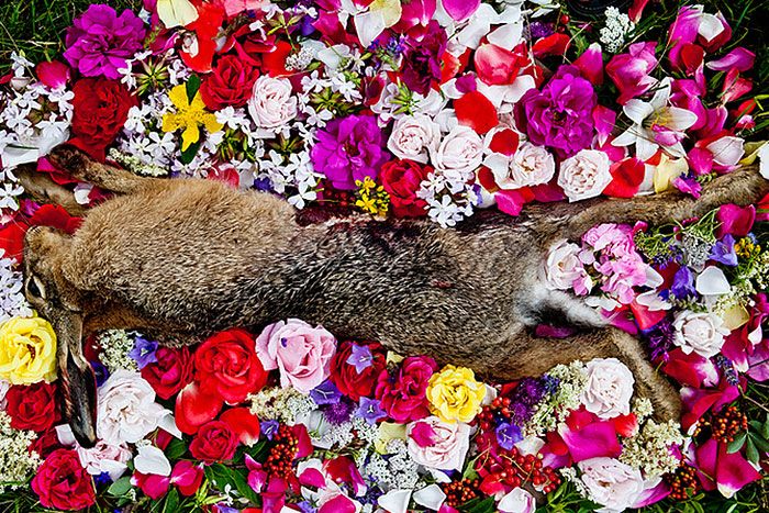 Maria Ionova Gribina 06