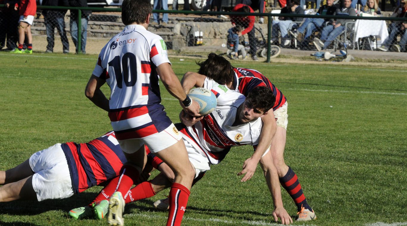 Tordos Marista 13