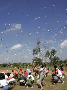 Dinero gratis en indonesia interior