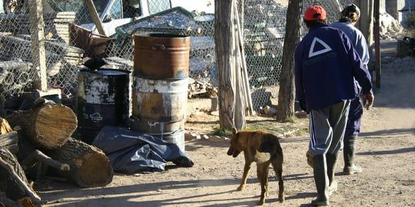 Perrera-Todo Bien-NOTA