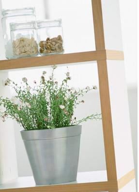 Macetas.interior nota