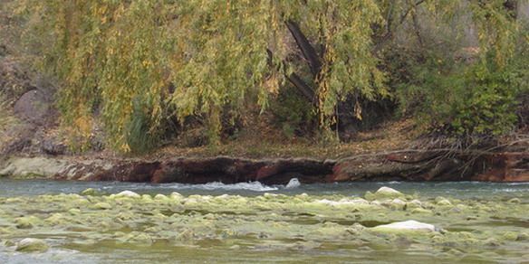 Río Atuel la foto.jpg N