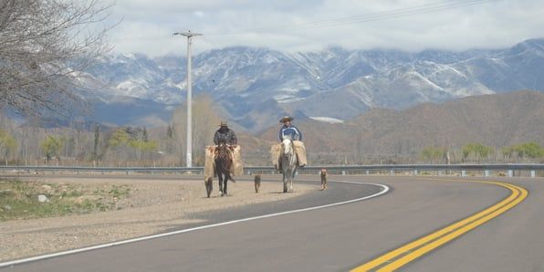 Manzano jinetes Nota