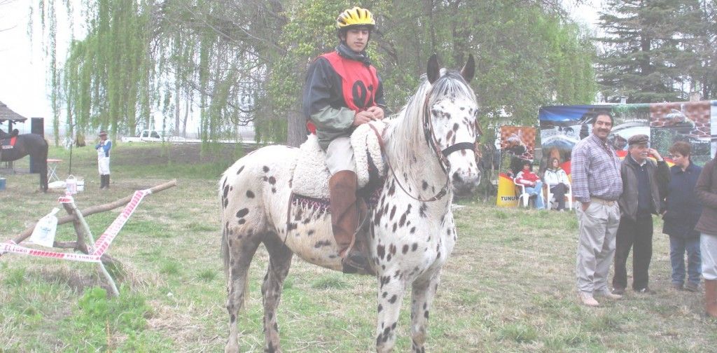 Uco endu jinete menores