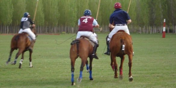 Uco polo 3