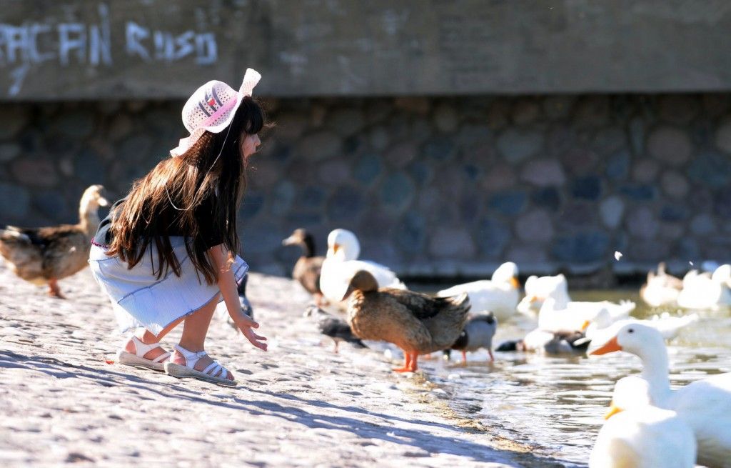 Dia Madre-Paque central-INTERIOR2