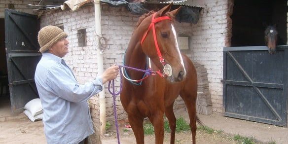 Uco cirilinda y felix