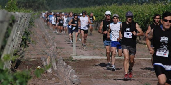 Carrera del vino N