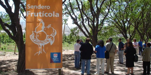 Uco zz inta fruticola