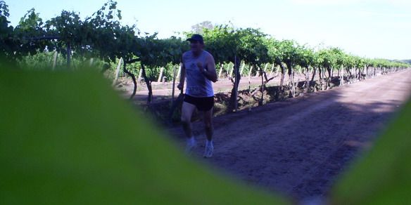 Maraton - competencia