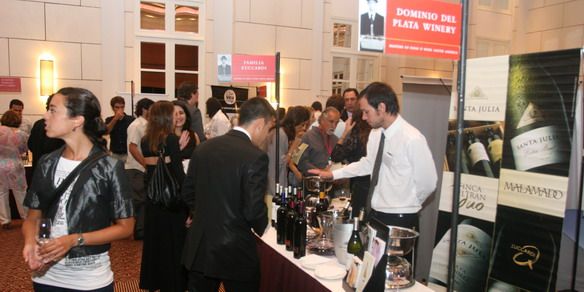 M Alvarez - 0185 interior