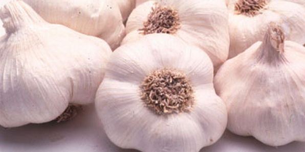 Ajo cabezas Nota