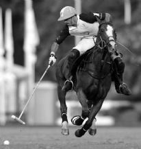 Polo - adolfo Cambiaso