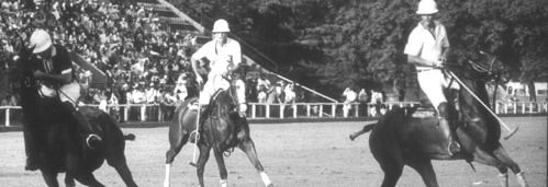 Polo - Gonzalo Tanoira