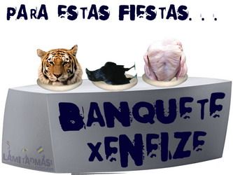 Boca 8