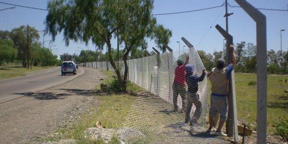 Deportes - Malvinas