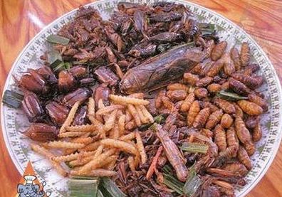 Chiches acuáticas P