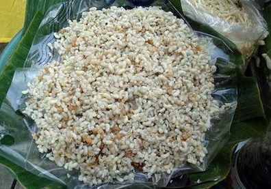 Larvas de hormiga blanca P